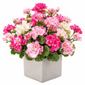 Plante Artificielle de Géranium en Pot Carré - Rose et Blanc