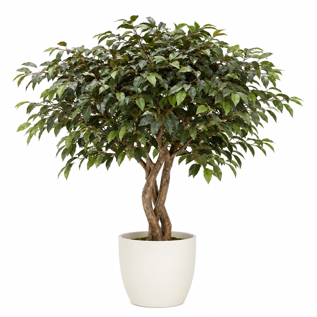 Ficus artificiel avec pot en céramique 160 cm