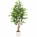 Ficus Artificiel Vert avec Tronc Torsadé 150 cm en Pot Céramique
