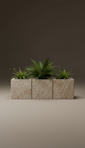 Trio de jardinières modulaires en pierre avec fougères