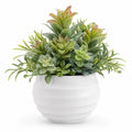 Arrangement de Plantes Grasses Artificielles avec Pot en Céramique Blanc