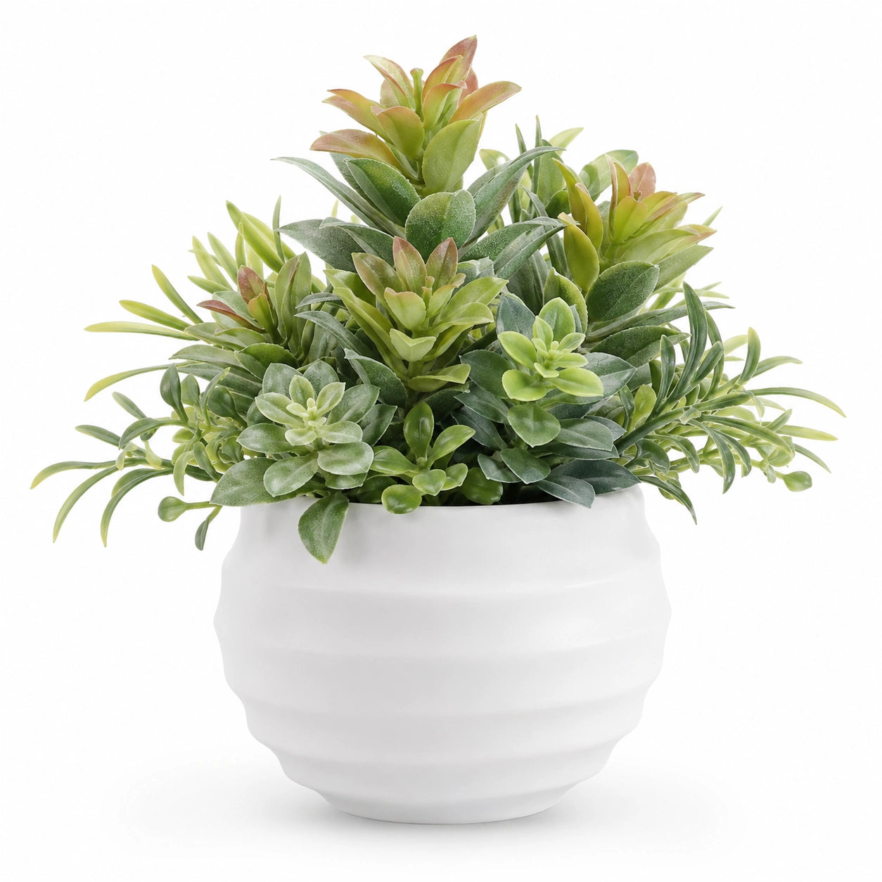 Arrangement de Plantes Grasses Artificielles avec Pot en Céramique Blanc
