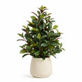 Plante Verte Artificielle en Pot, 85cm